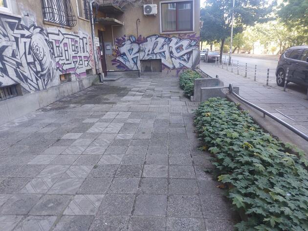 ц