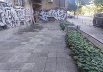 ц